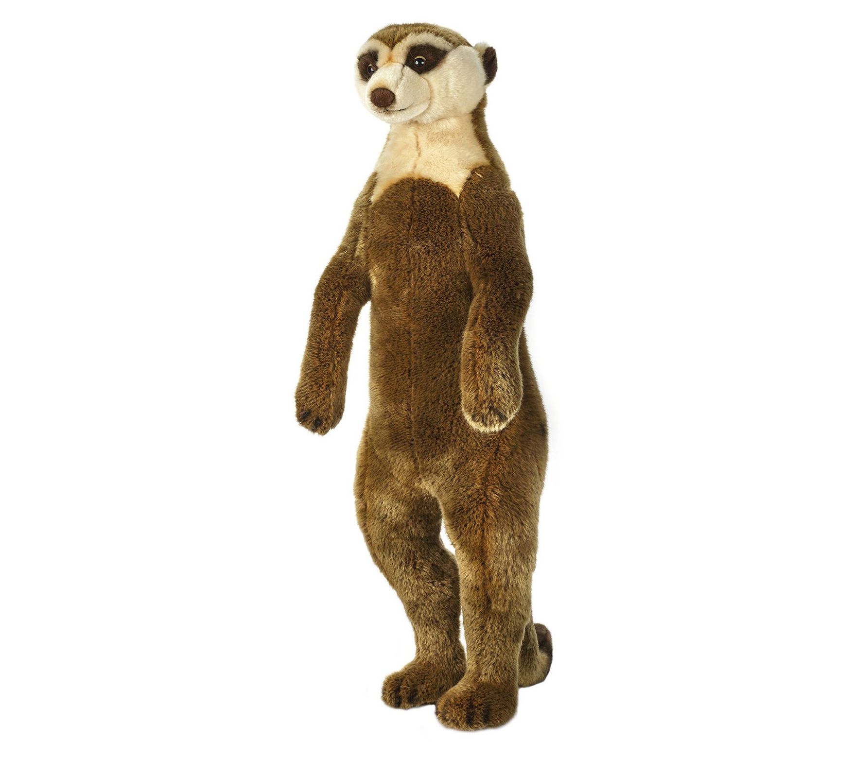 stuffed meerkat