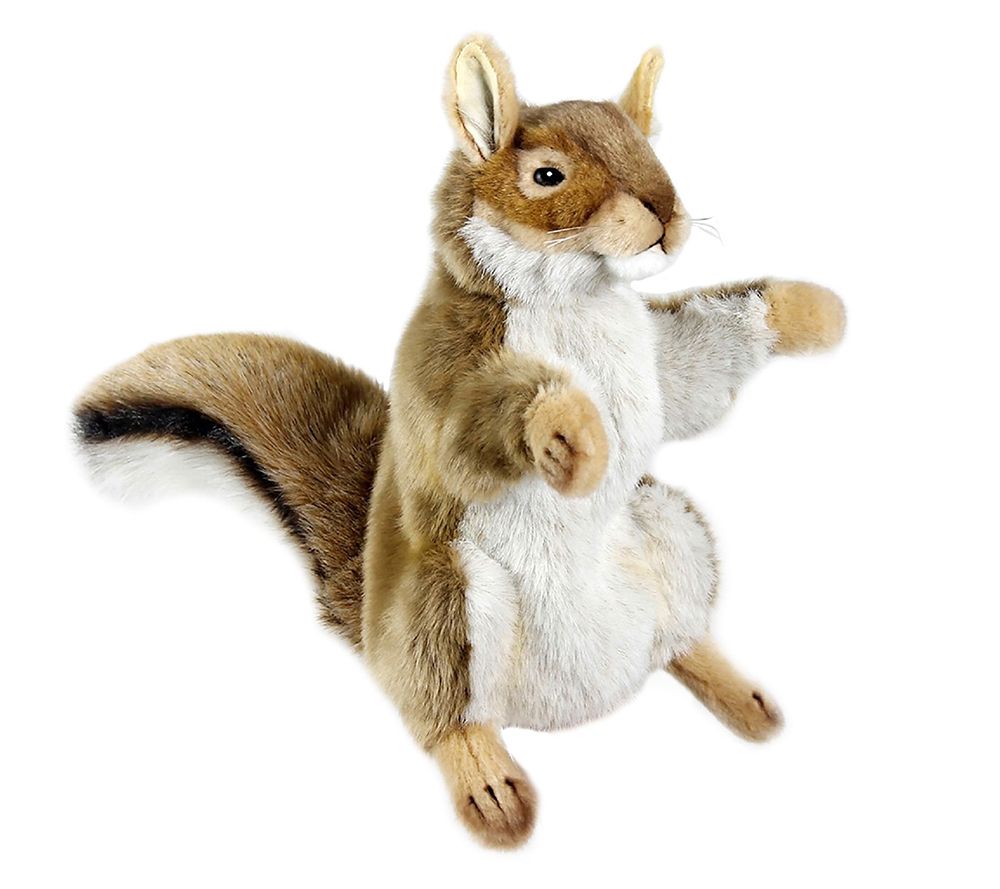 hansa squirrel