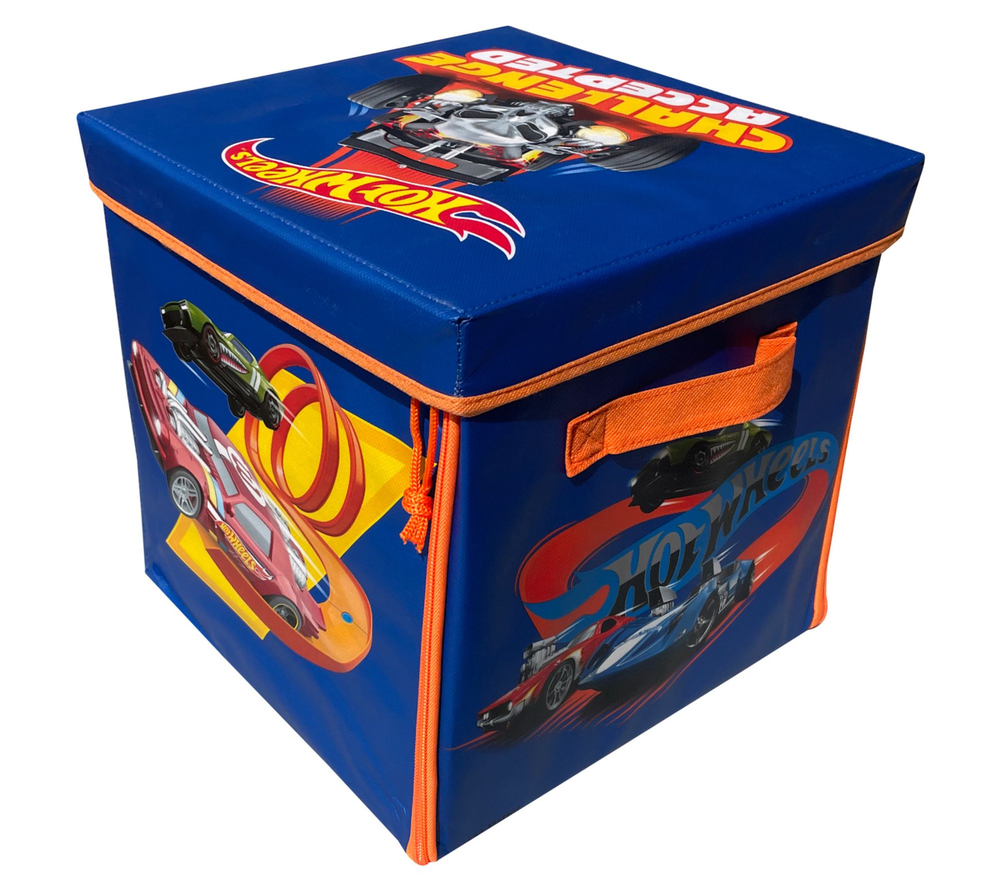 Tara Toy ZipBin Hot Wheels 300 Car Storage Cube