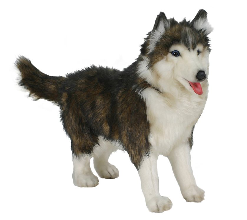 plush husky dog