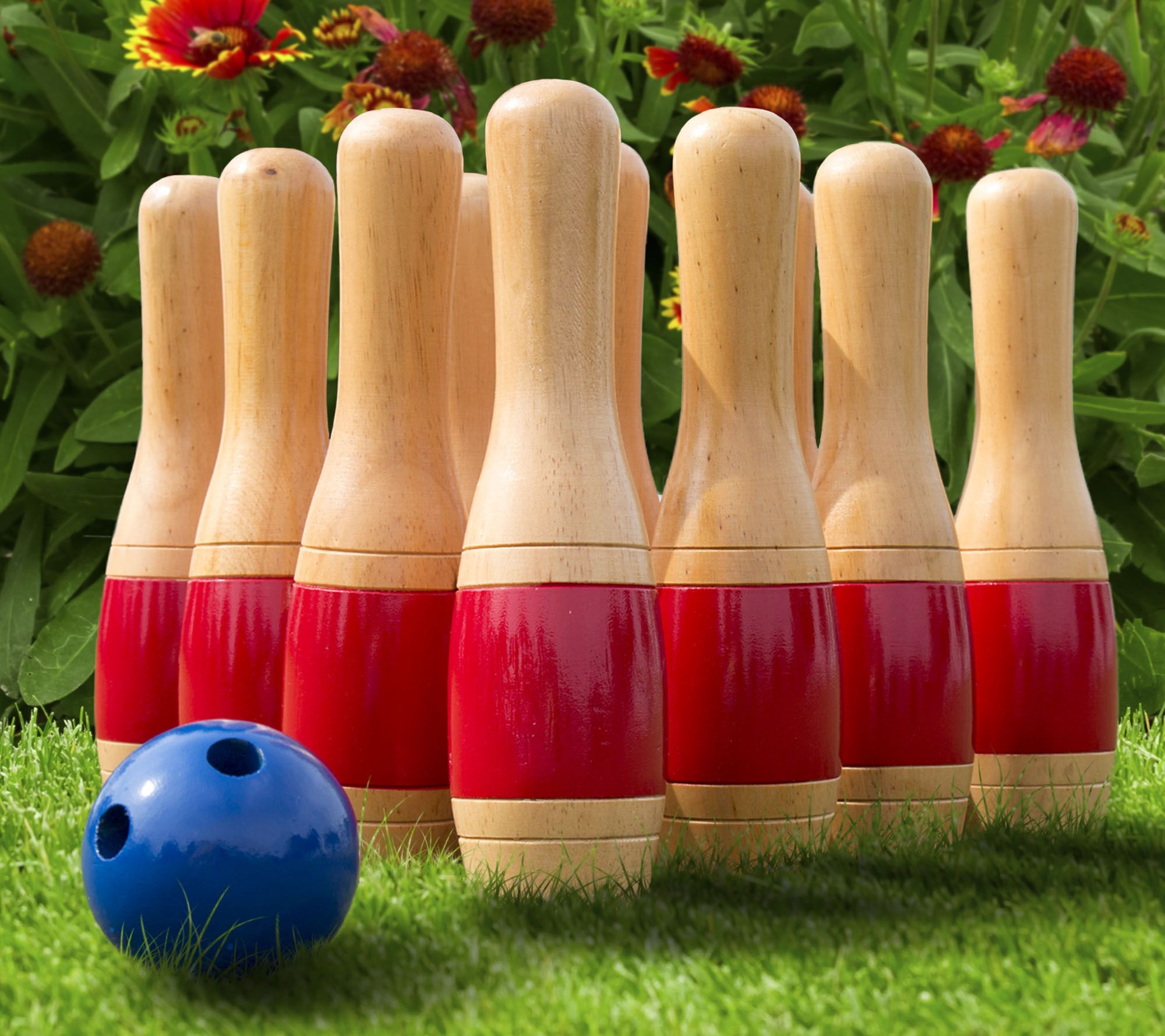 professional lawn bowling set