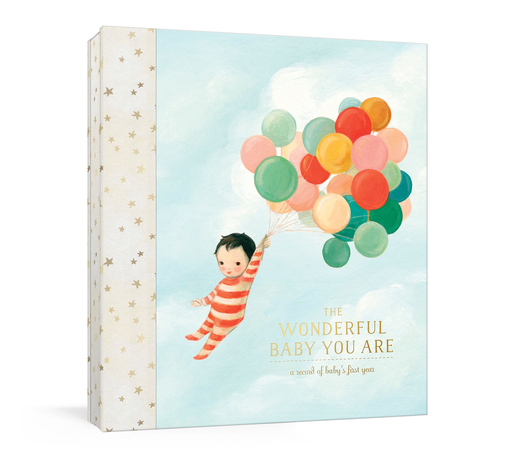 The Wonderful Baby You Are