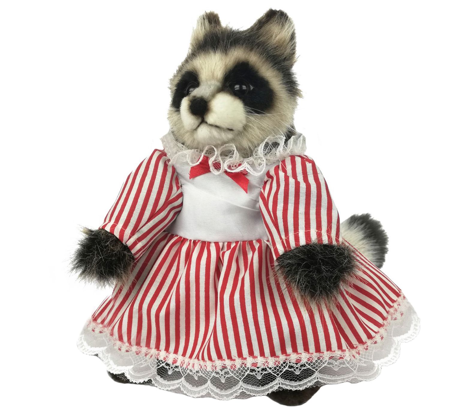 hansa raccoon