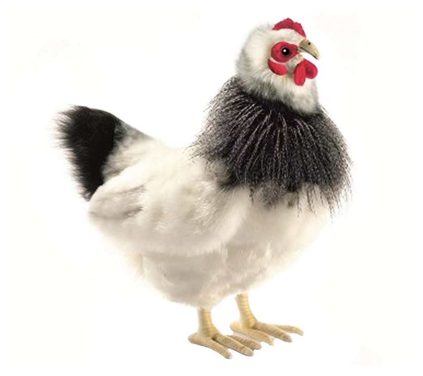 hansa hen