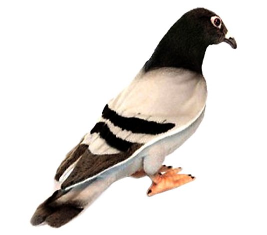 Hansa 7.5" Pigeon Plush