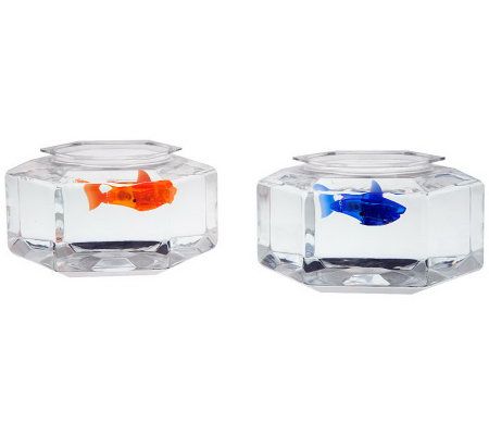 Hex Bug Set of 2 Aquabots Robotic Fish with Fish Bowls - QVC.com