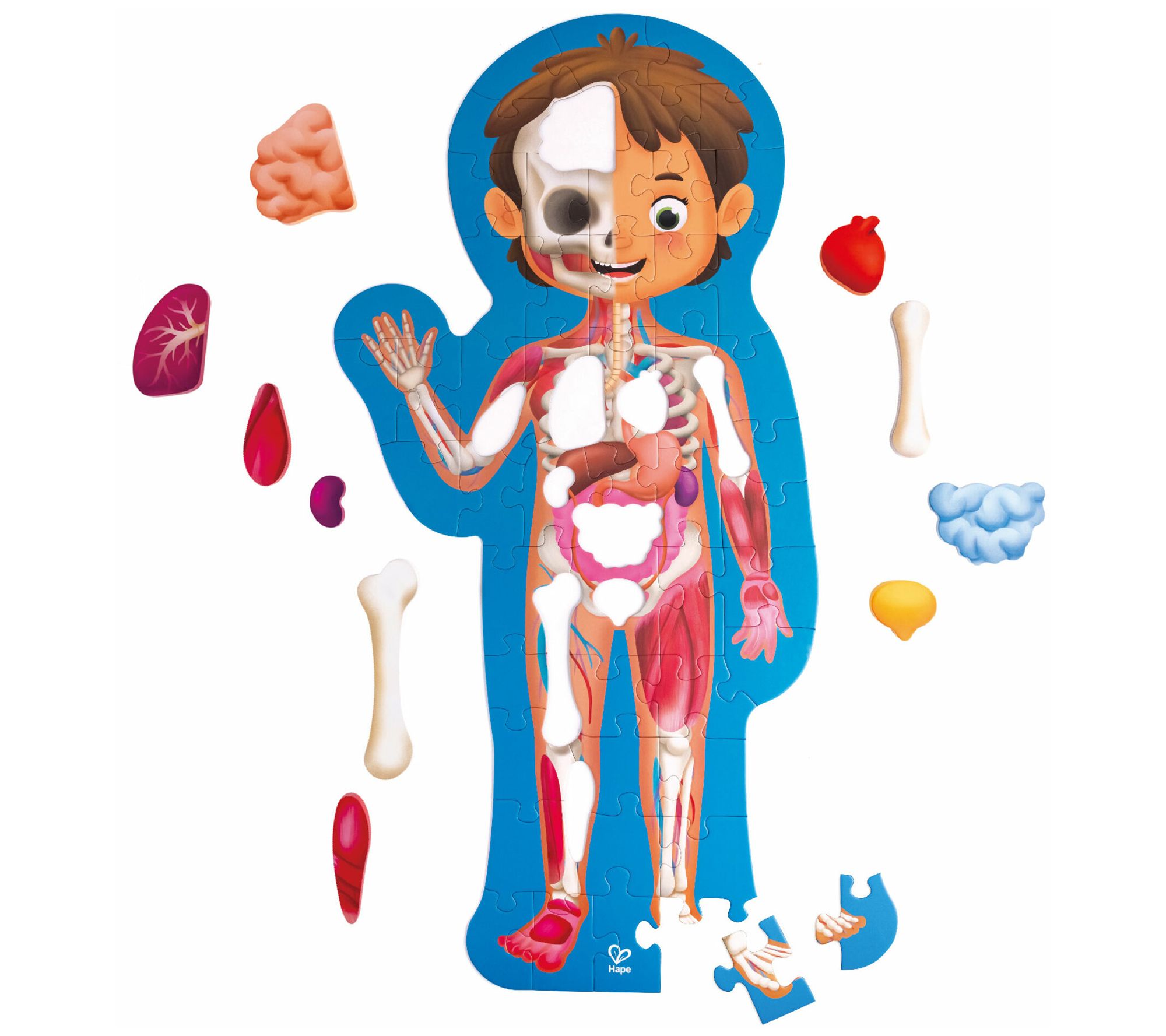 Hape Human Body Puzzle - 60pc
