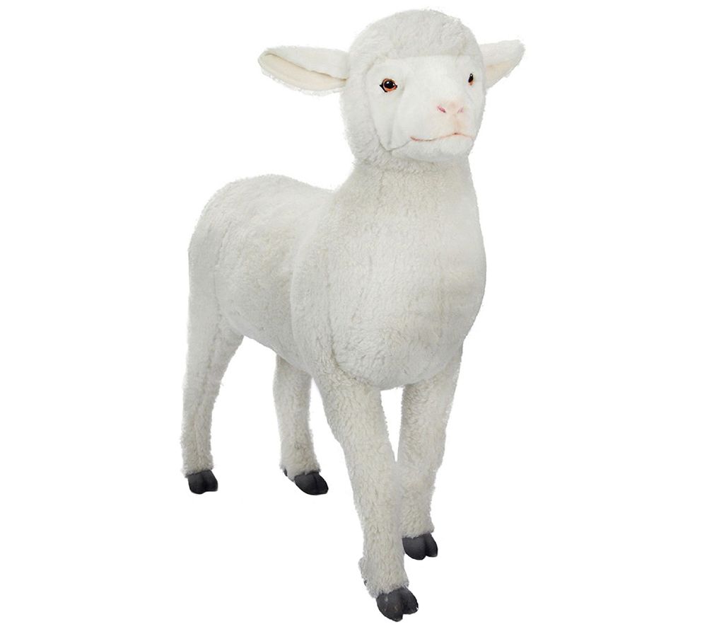 hansa lamb