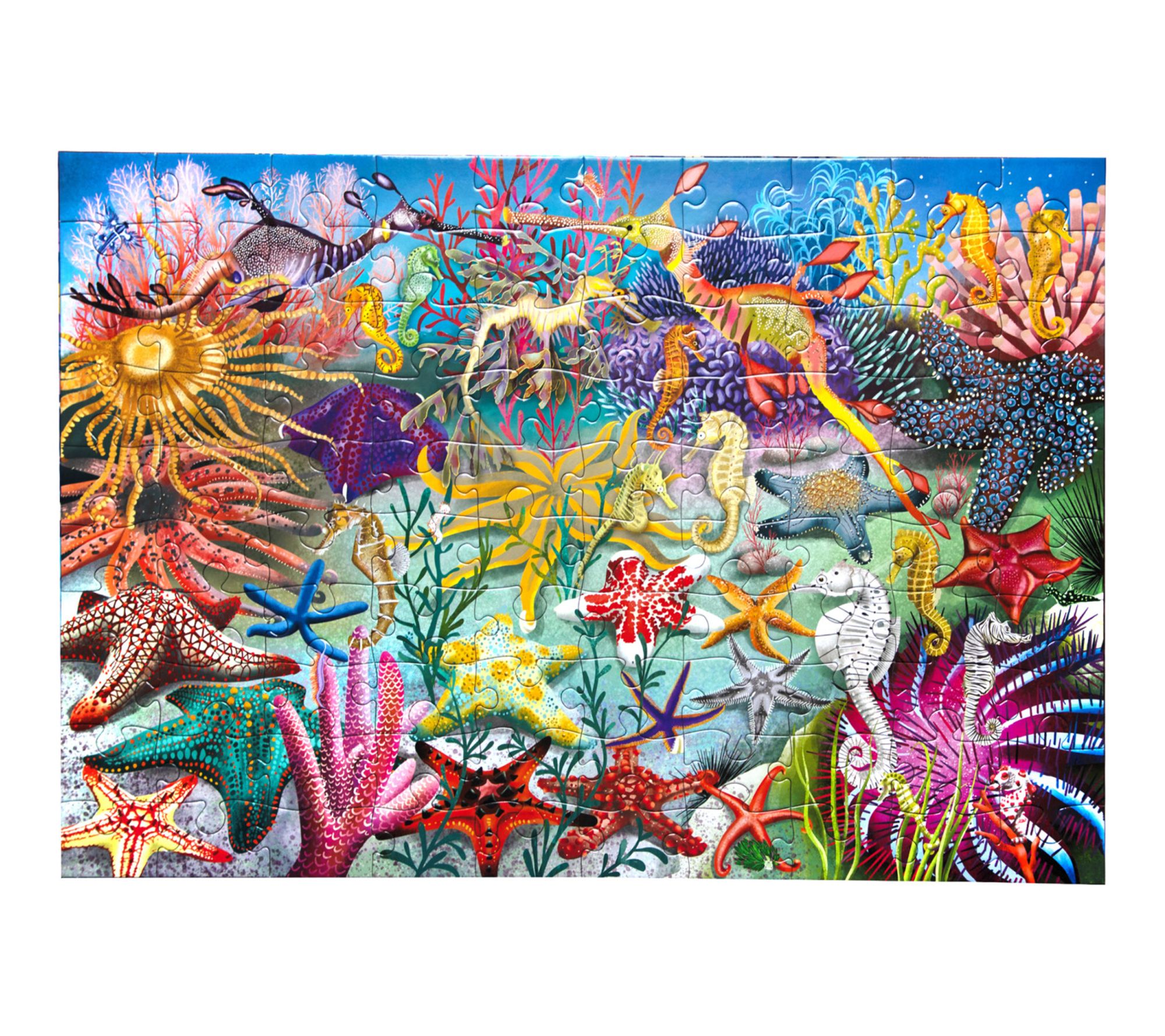 eeBoo Seahorses Sea Stars & Sea Slugs 100 PiecePuzzle
