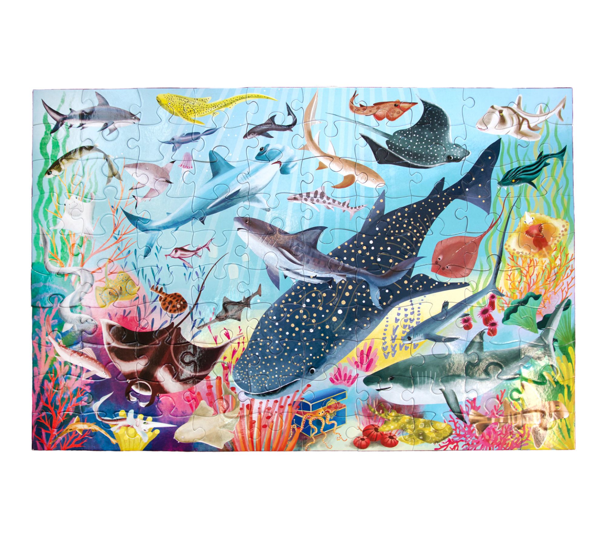eeBoo Love of Sharks 100 Piece Puzzle with Poster