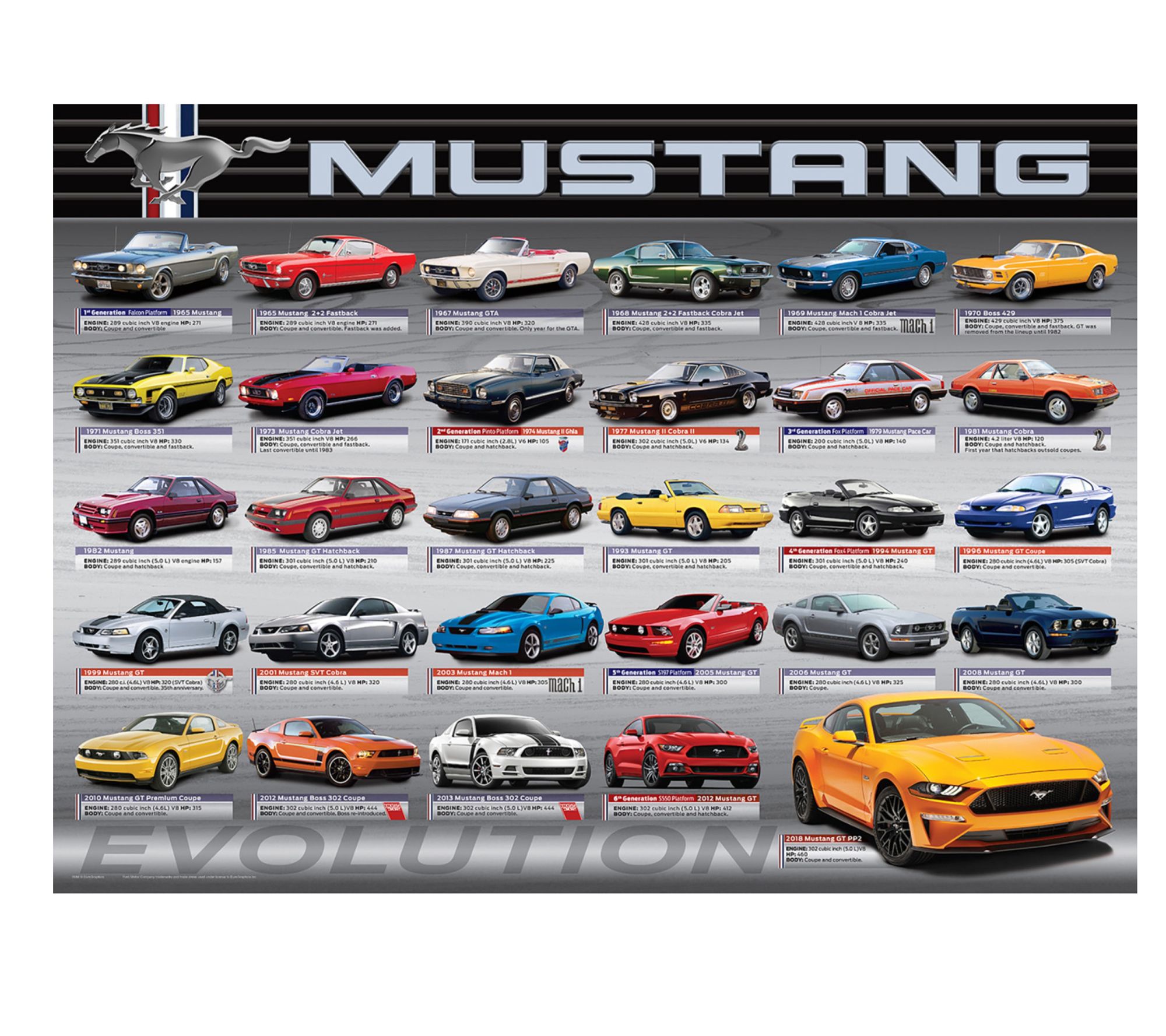 Eurographics Puzzle - 1000pc