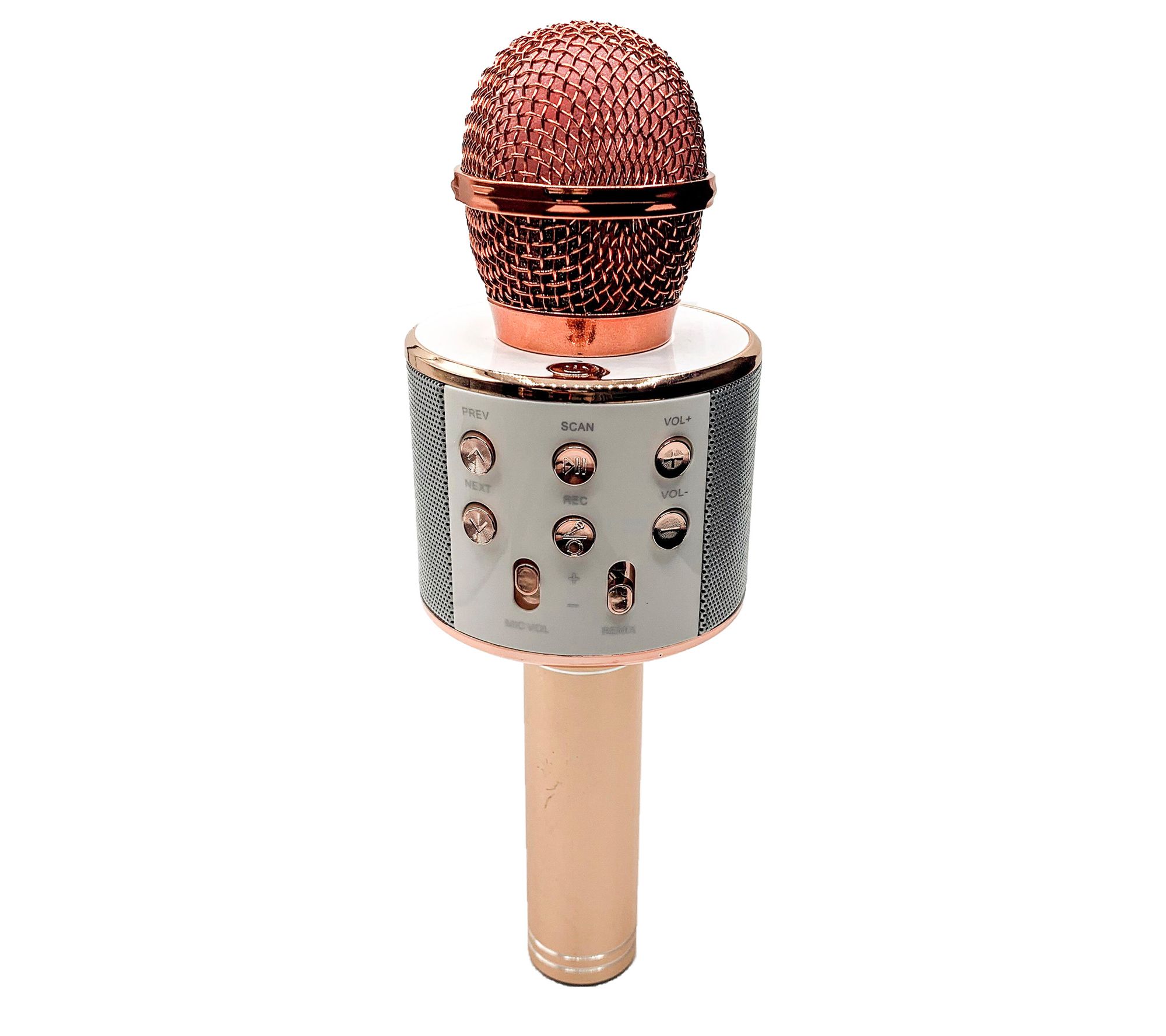 Perfect Pitch Karaoke Wireless Microphone & Recorder