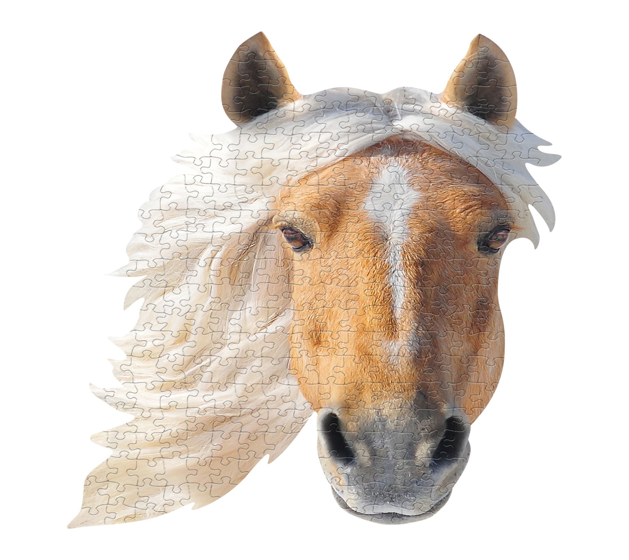 Madd Capp 300 Piece Jigsaw Puzzle, Unique Shaped Border