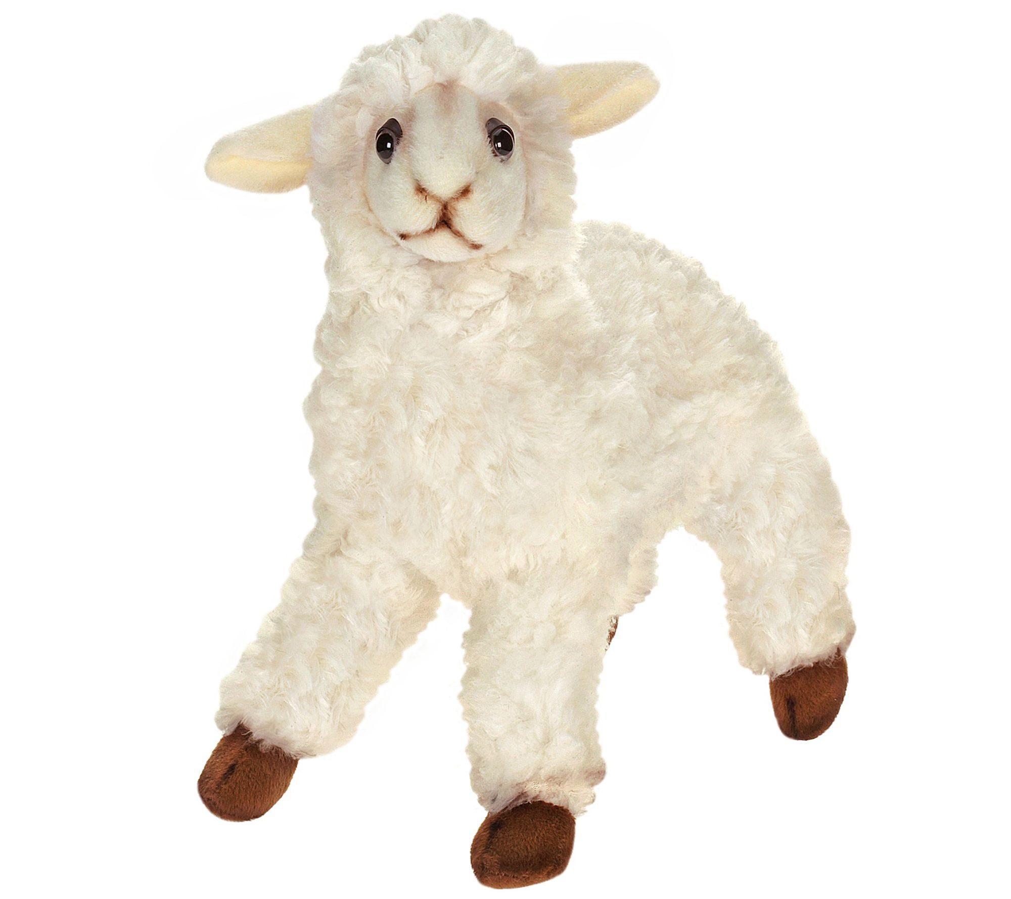 hansa sheep