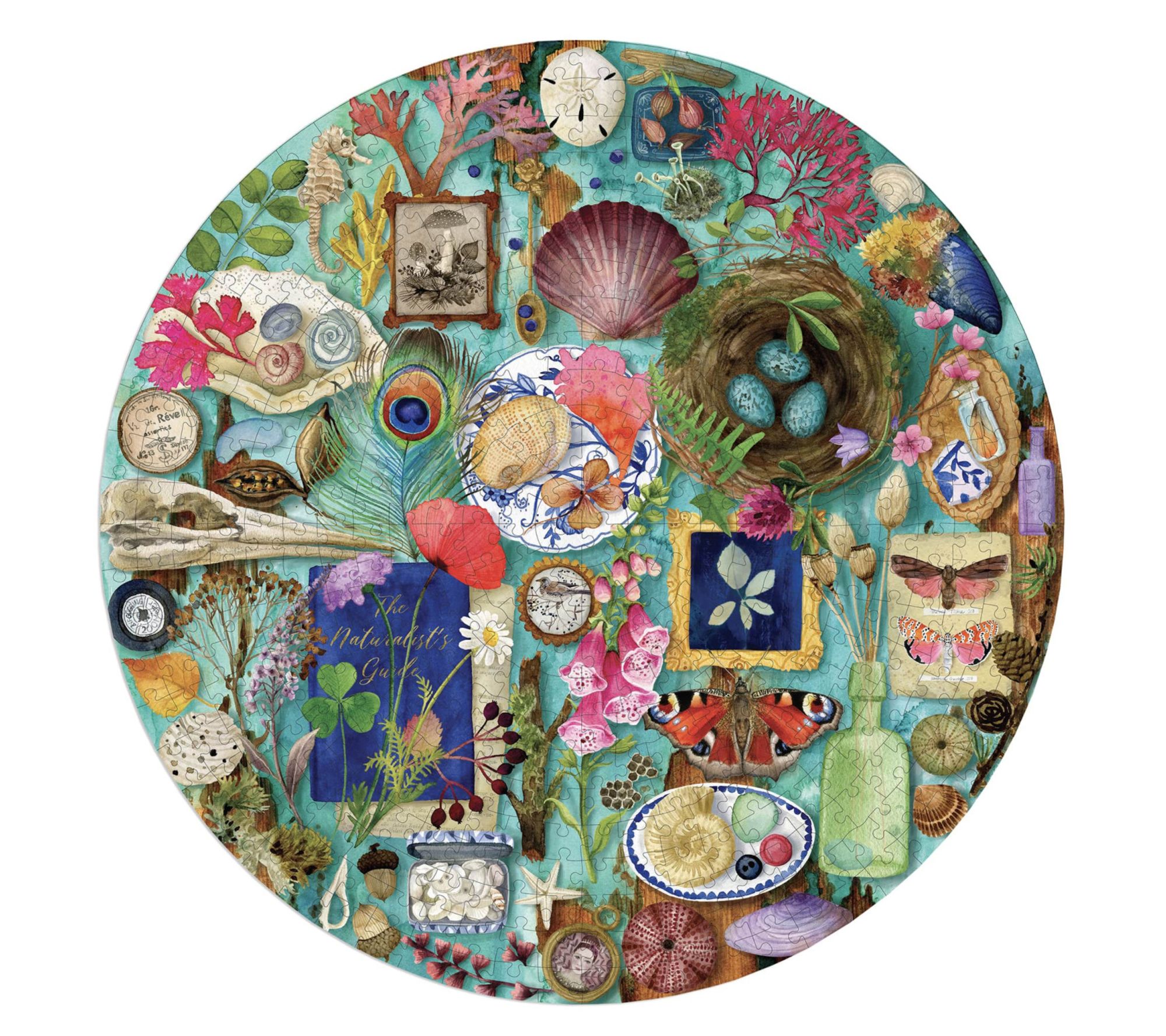 eeBoo Piece & Love Collecting Nature 500pc Jigsaw Puzzle