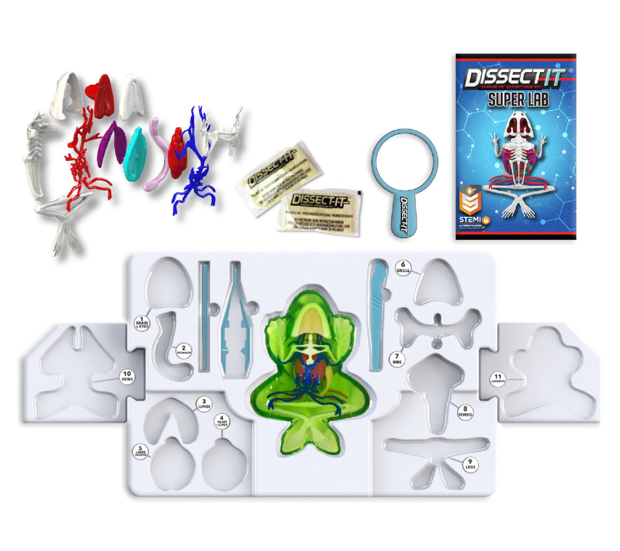Dissect-It Deluxe Super Frog Lab Synthetic Dissection Toy Kit