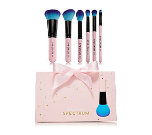 Spectrum Collections 6 Piece Brush Gift Set