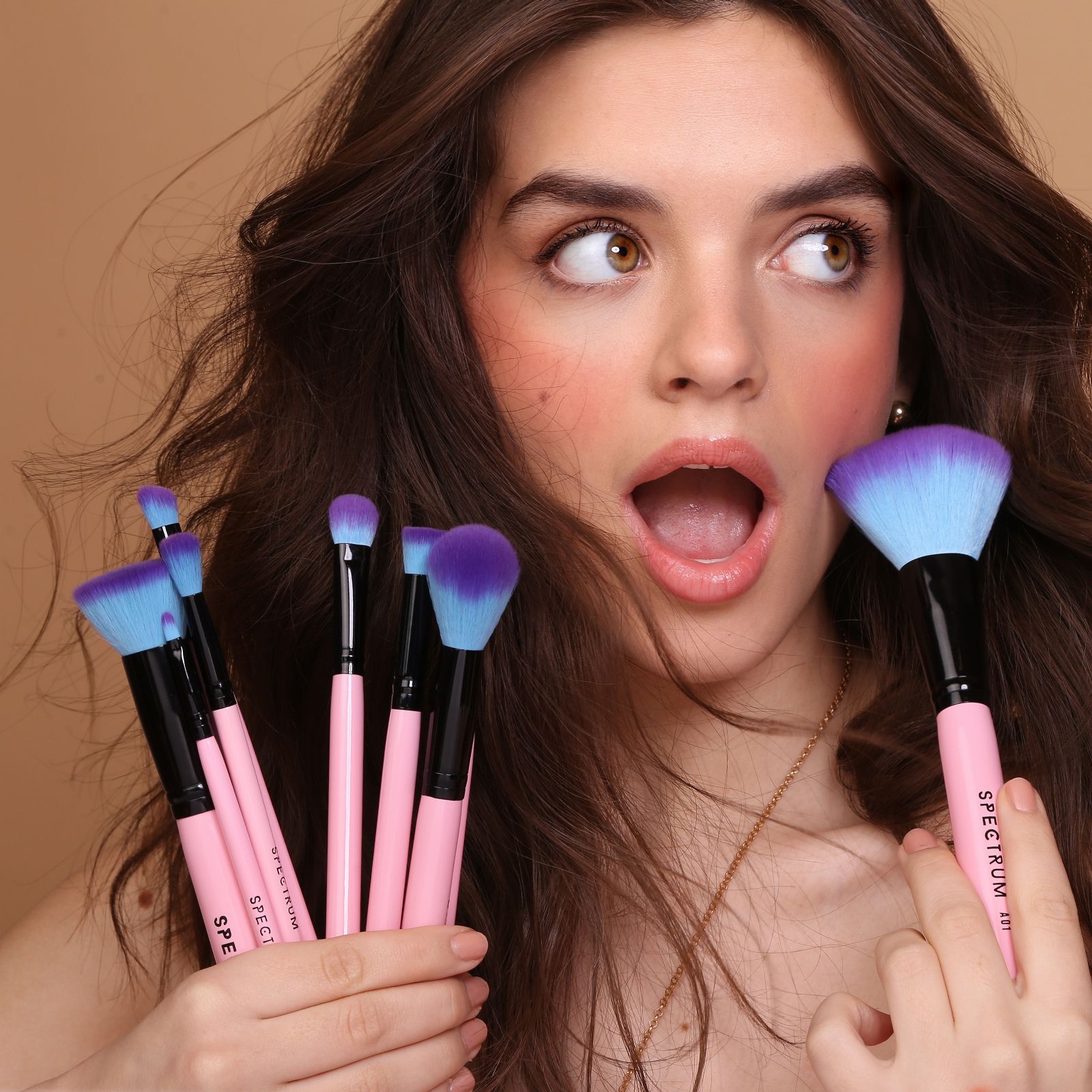 Spectrum 10 Piece Essential Brush Set QVC UK