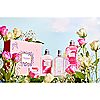L'Occitane 4 Piece Fragrance Gift Collection, 1 of 7