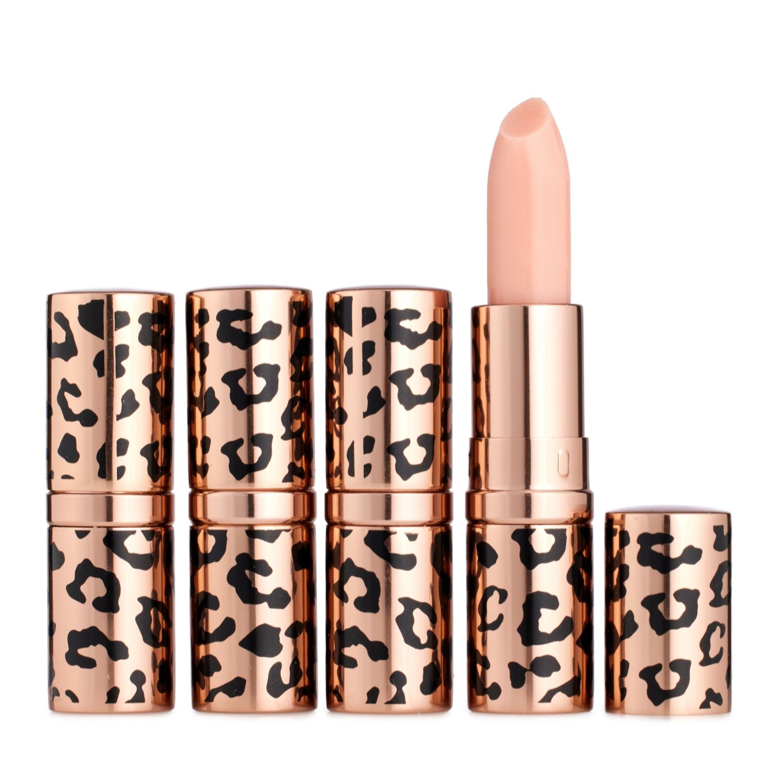 Gale Hayman Anniversary Limited Edition Lip Lift 2.6g Quad