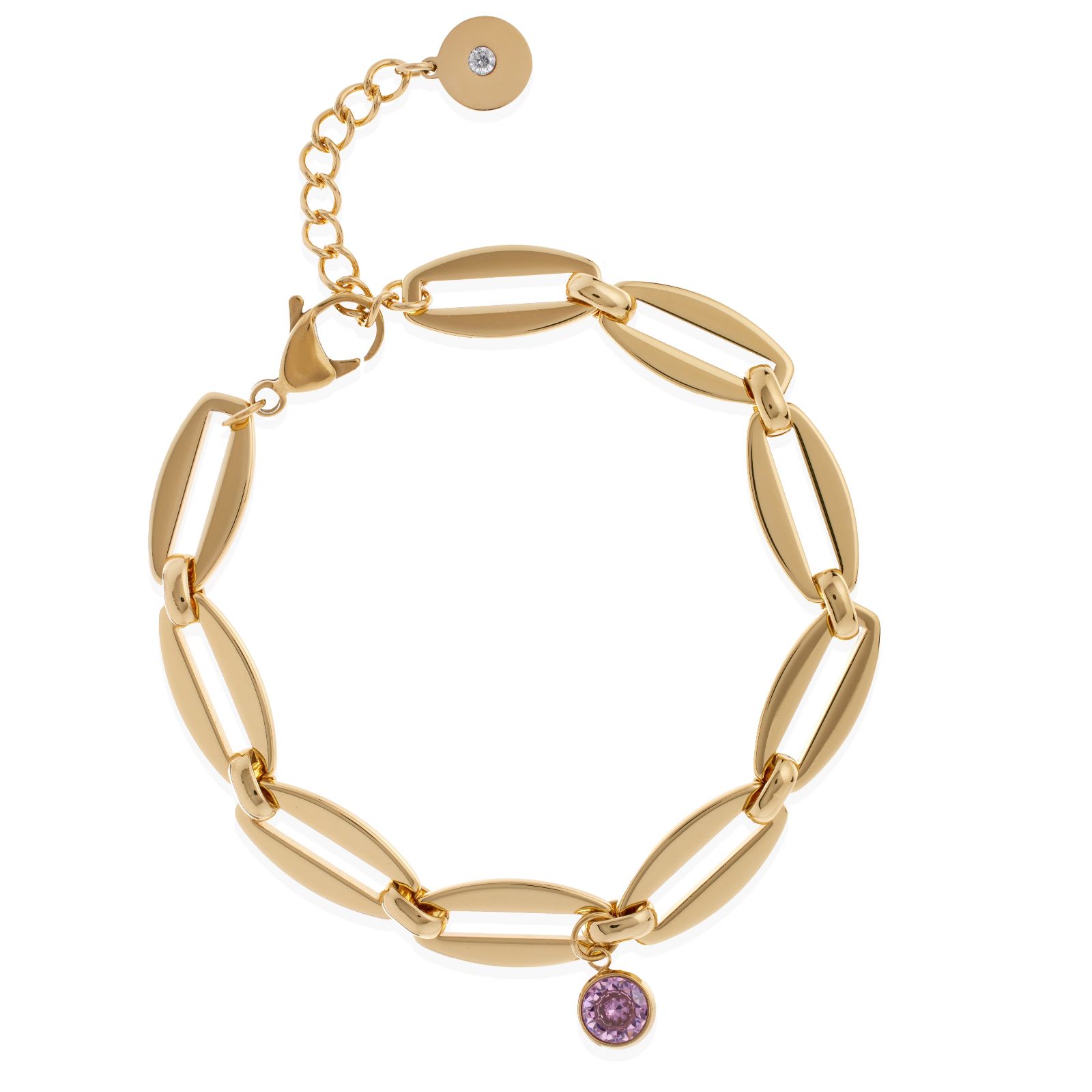 Steel by Diamonique Birthstone Bracelet Stainless Steel