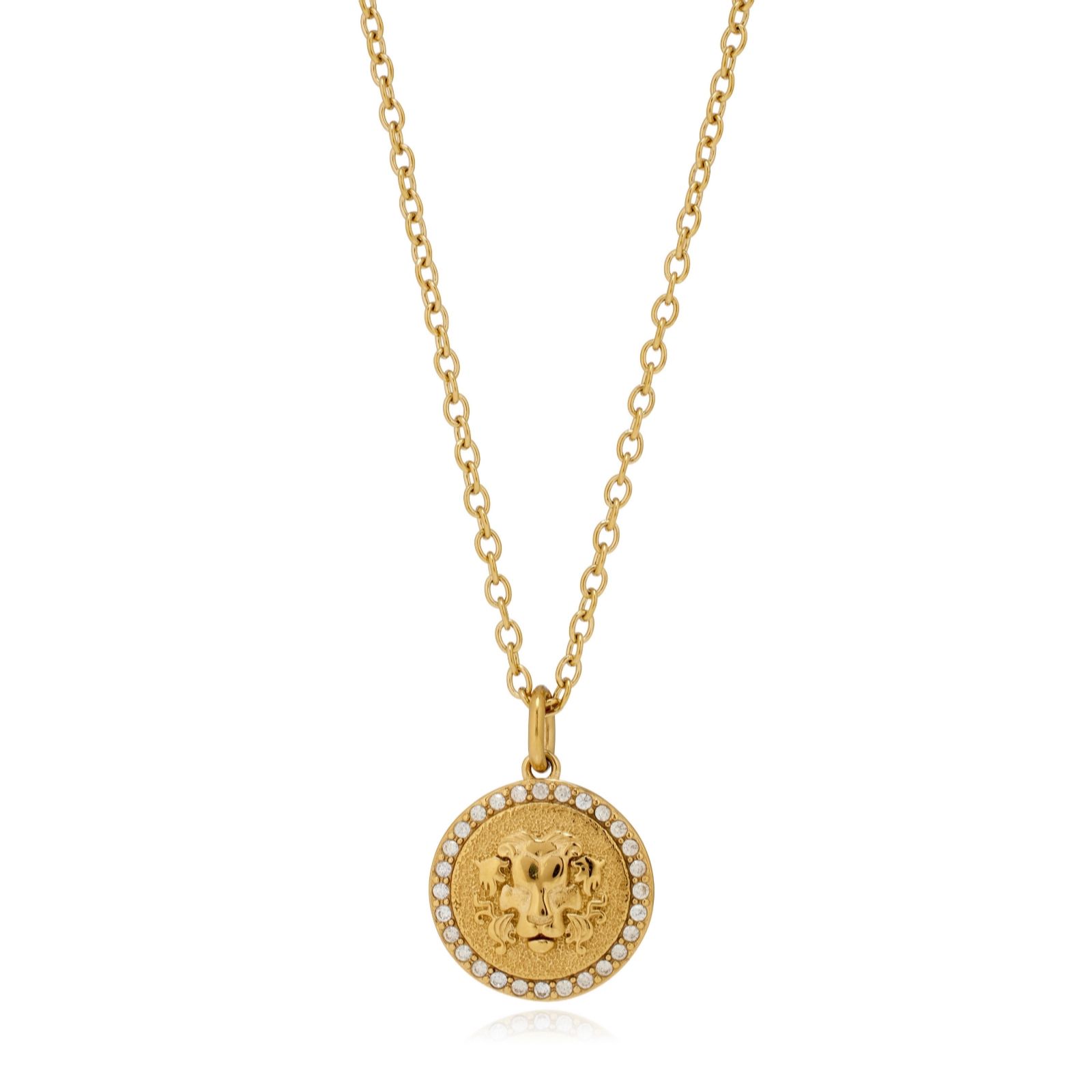 Steel by Diamonique Zodiac Pendant and Chain Stainless Steel