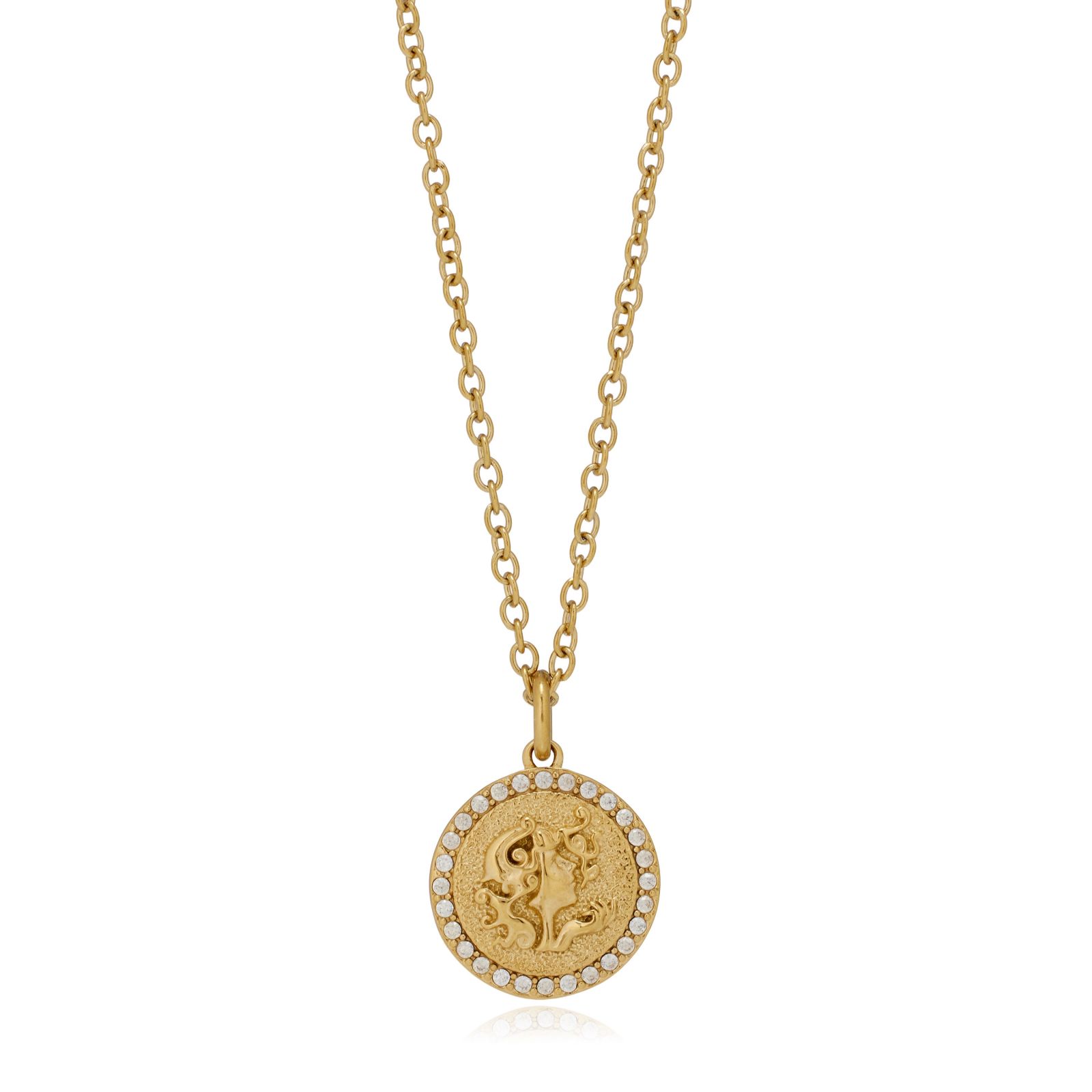 Steel by Diamonique Zodiac Pendant and Chain Stainless Steel