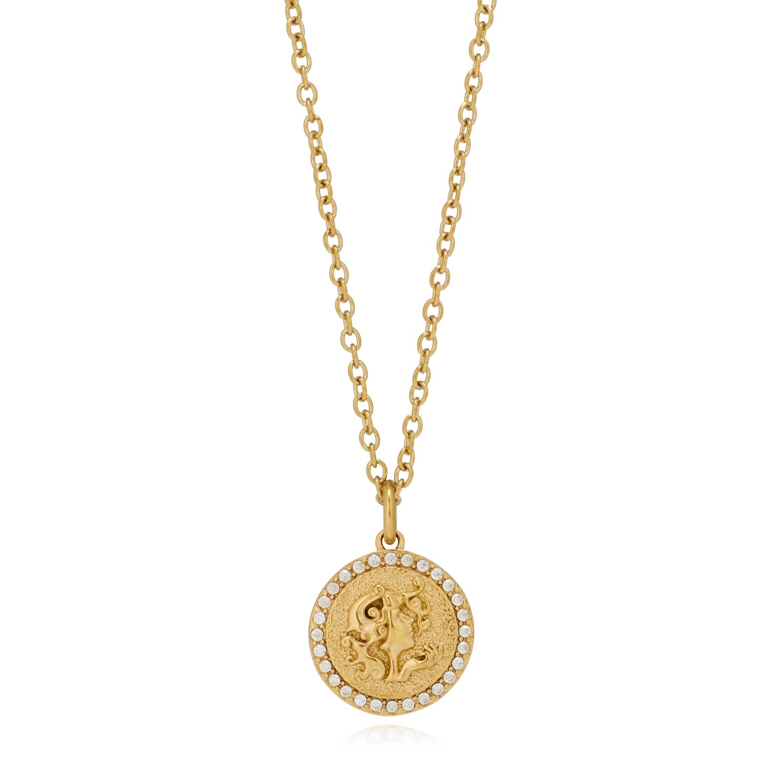 Steel by Diamonique Zodiac Pendant and Chain Stainless Steel
