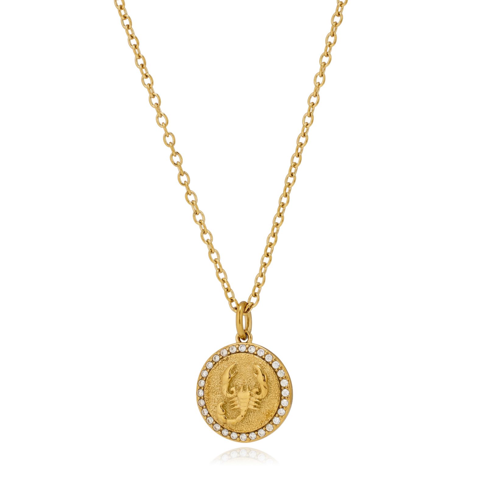 Steel by Diamonique Zodiac Pendant and Chain Stainless Steel