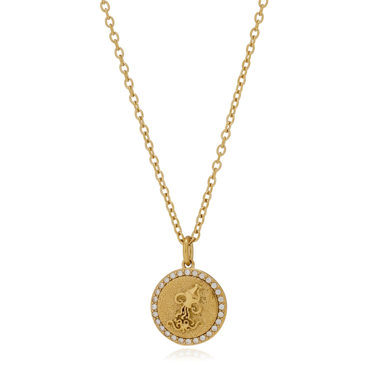 Steel by Diamonique Zodiac Pendant and Chain Stainless Steel