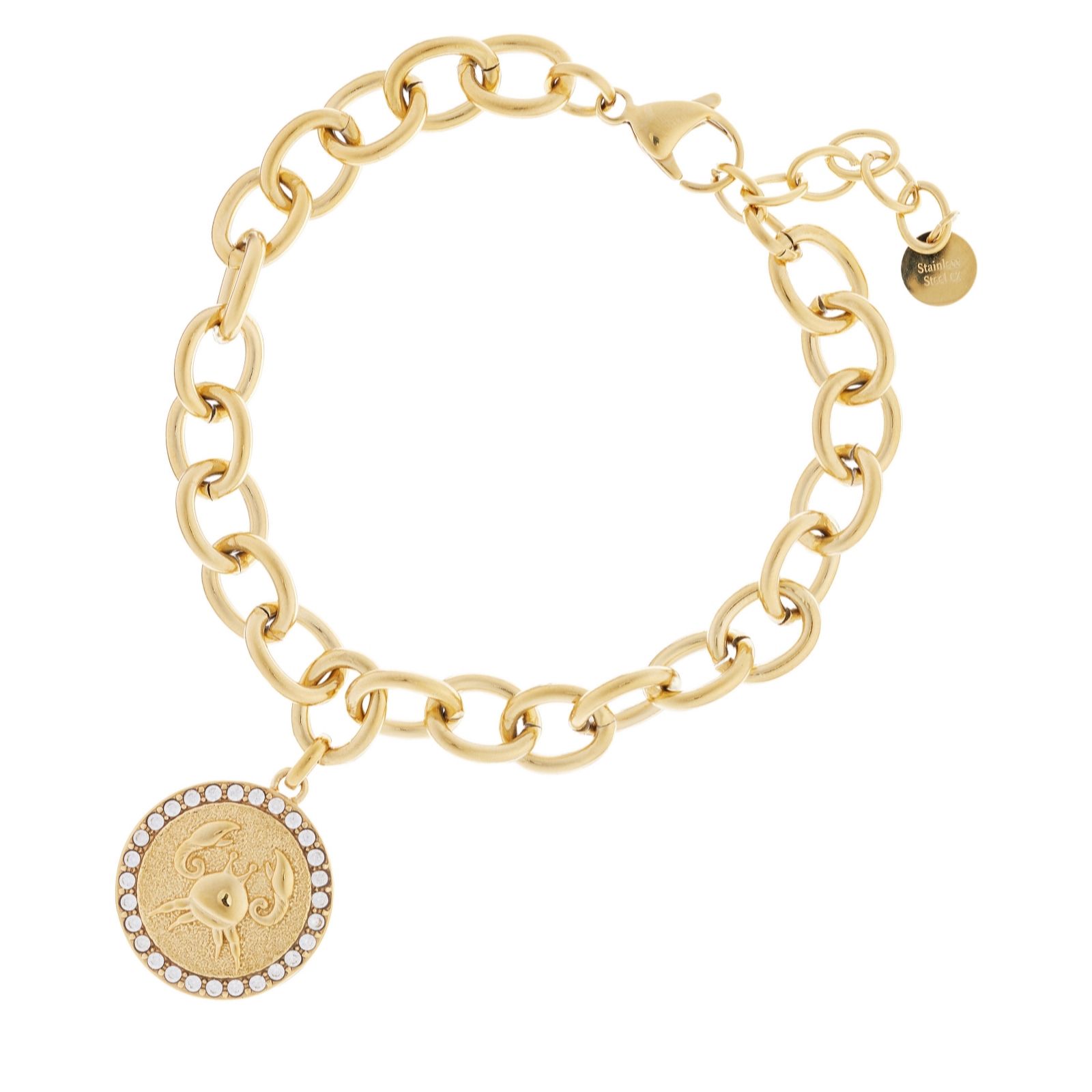 Steel by Diamonique Zodiac Chain Link Bracelet Stainless Steel