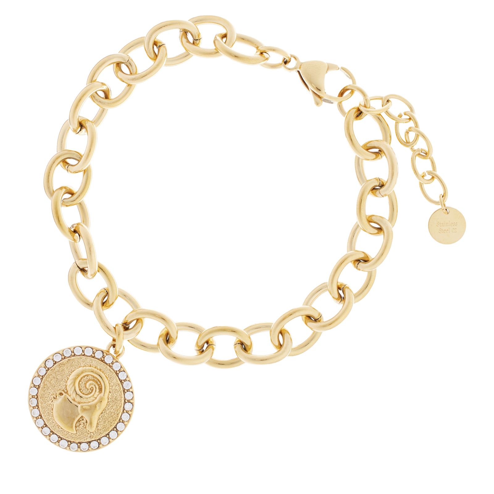 Steel by Diamonique Zodiac Chain Link Bracelet Stainless Steel