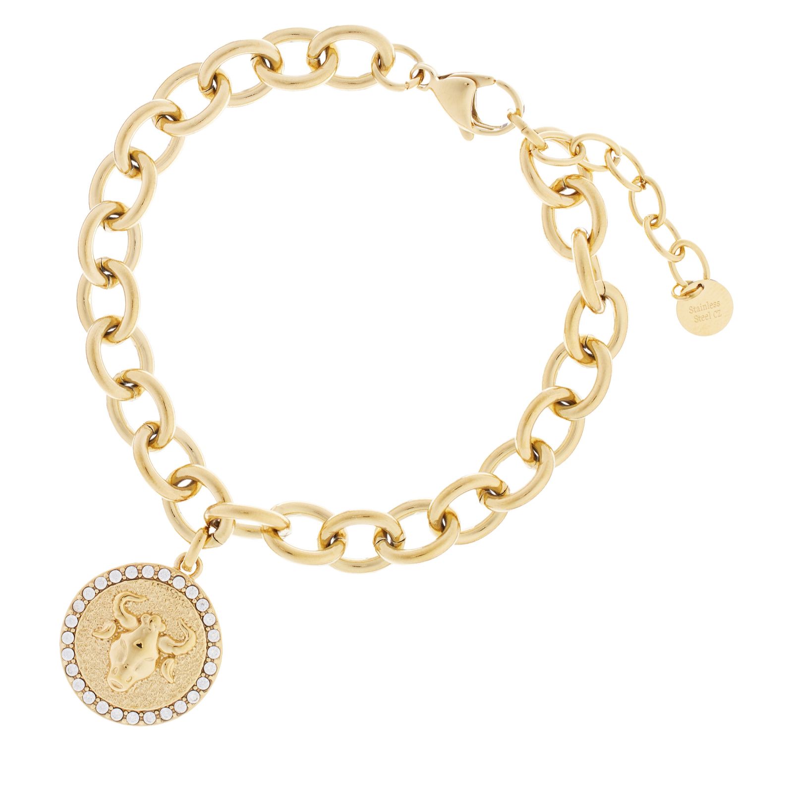 Steel by Diamonique Zodiac Chain Link Bracelet Stainless Steel