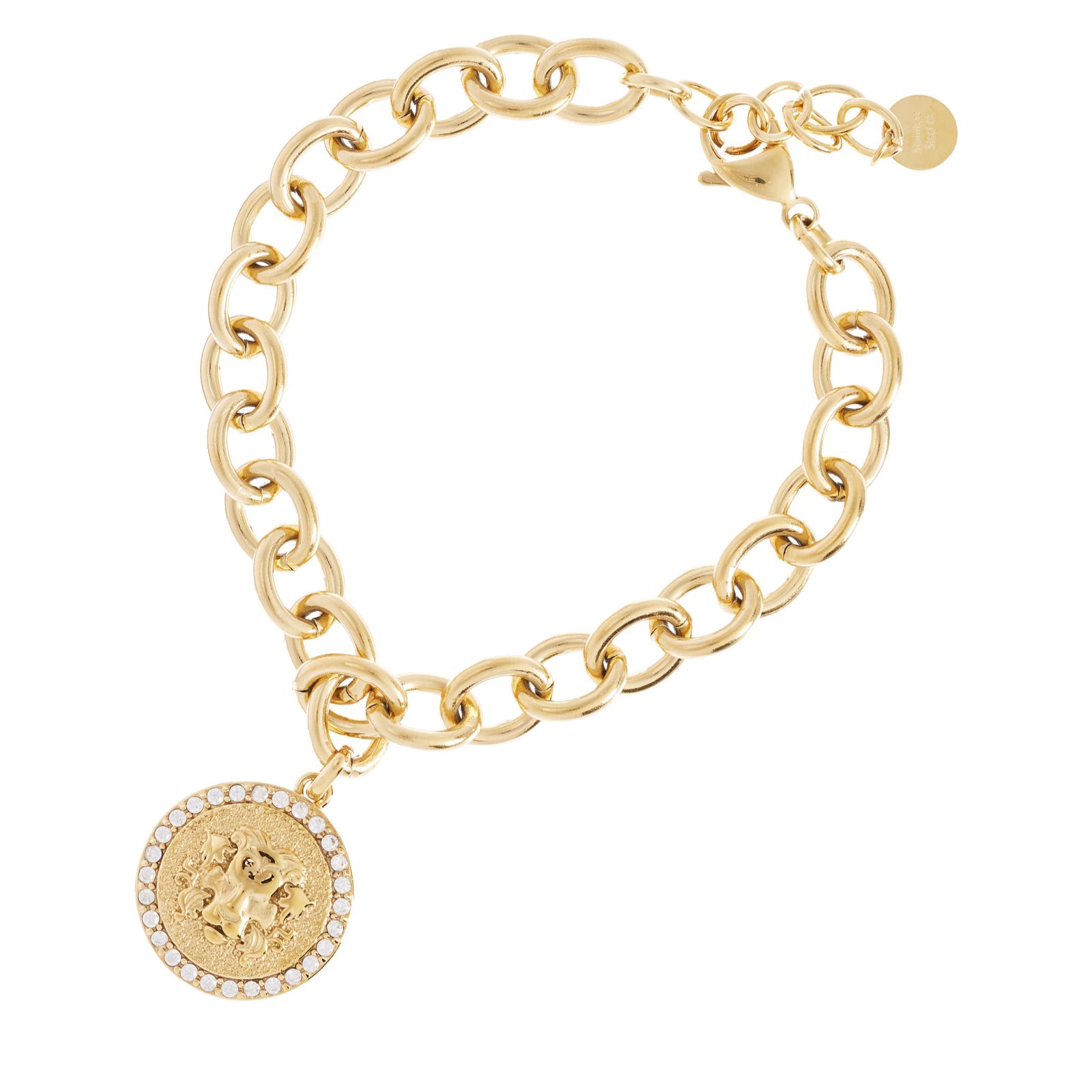 Steel by Diamonique Zodiac Chain Link Bracelet Stainless Steel