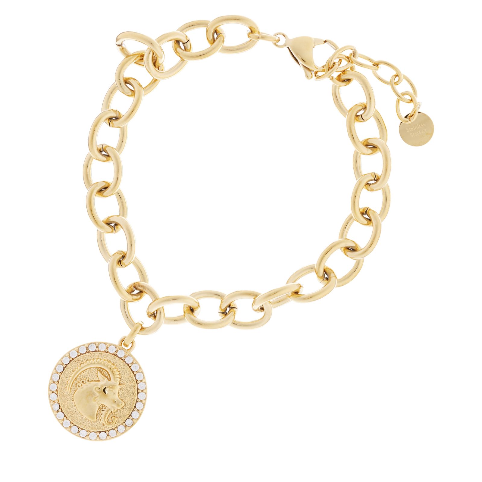 Steel by Diamonique Zodiac Chain Link Bracelet Stainless Steel