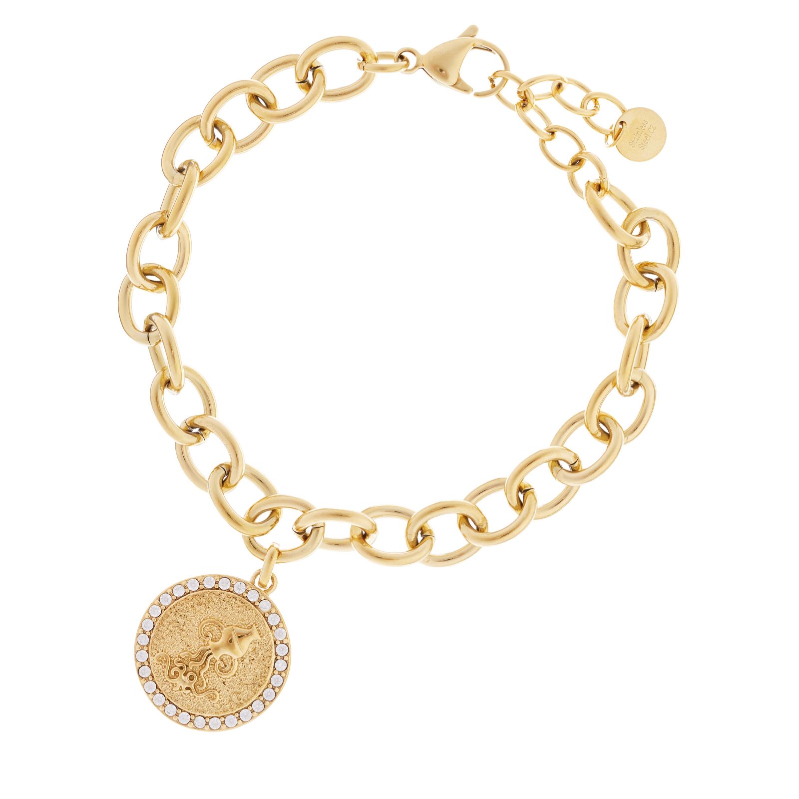 Steel by Diamonique Zodiac Chain Link Bracelet Stainless Steel