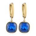 Steel by Diamonique Cushion Cut Earrings Stainless Steel