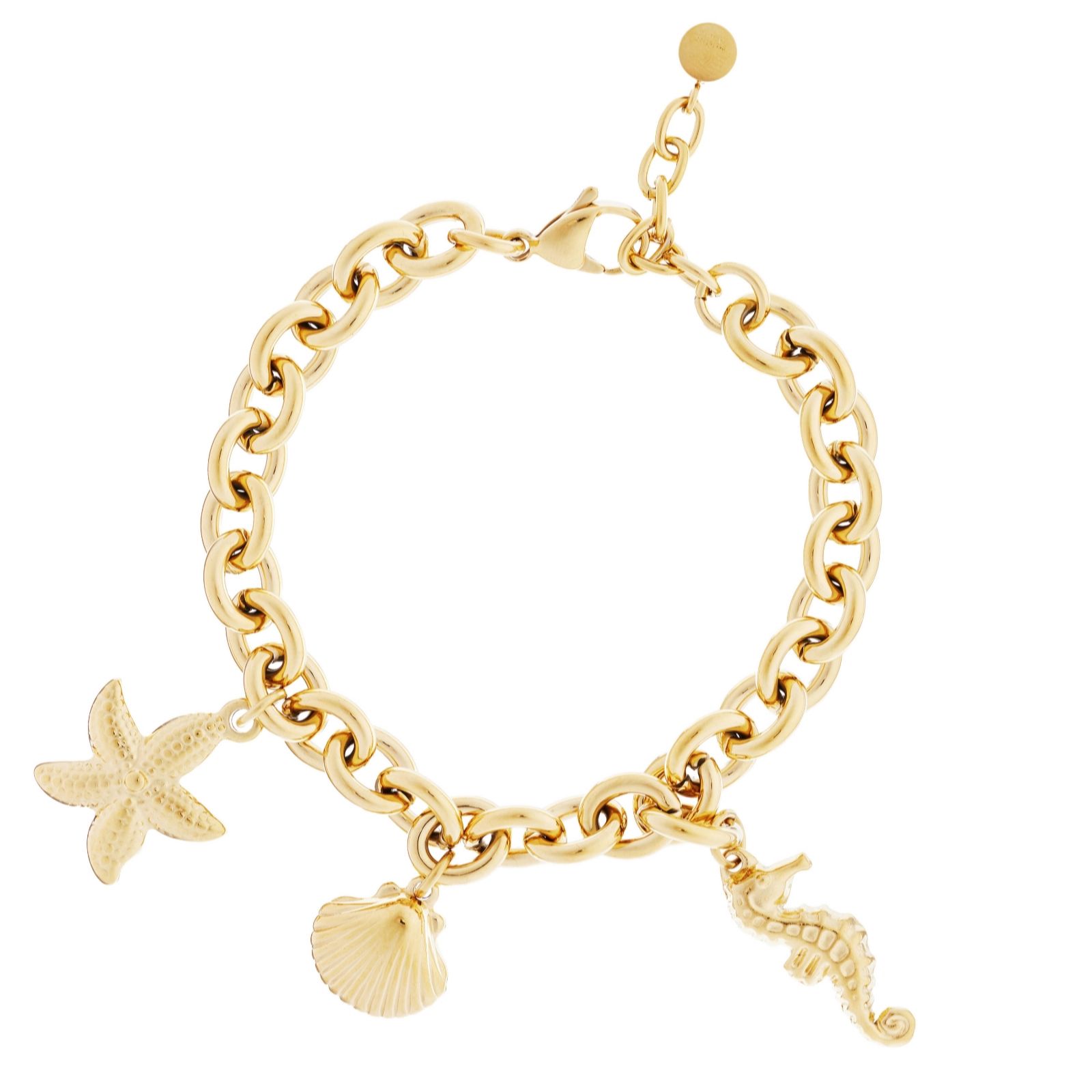 Steel by Diamonique Under The Sea Charm Bracelet