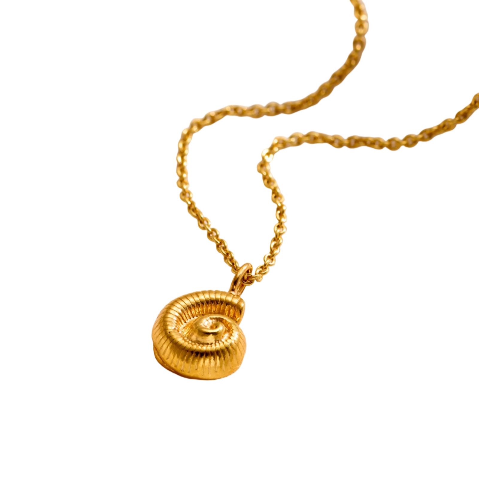 Posh Totty Designs Nautilus Shell Necklace Sterling Silver