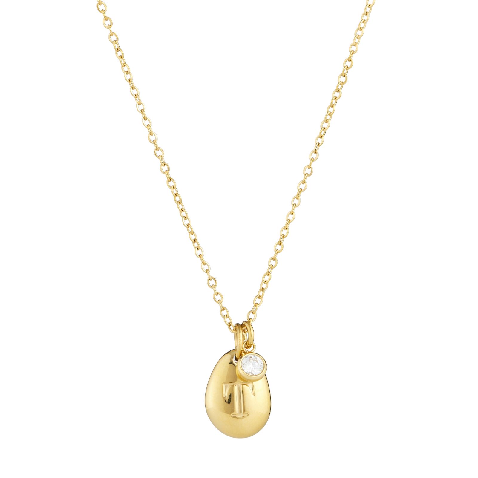 Steel by Diamonique Pebble Initial Necklace Stainless Steel