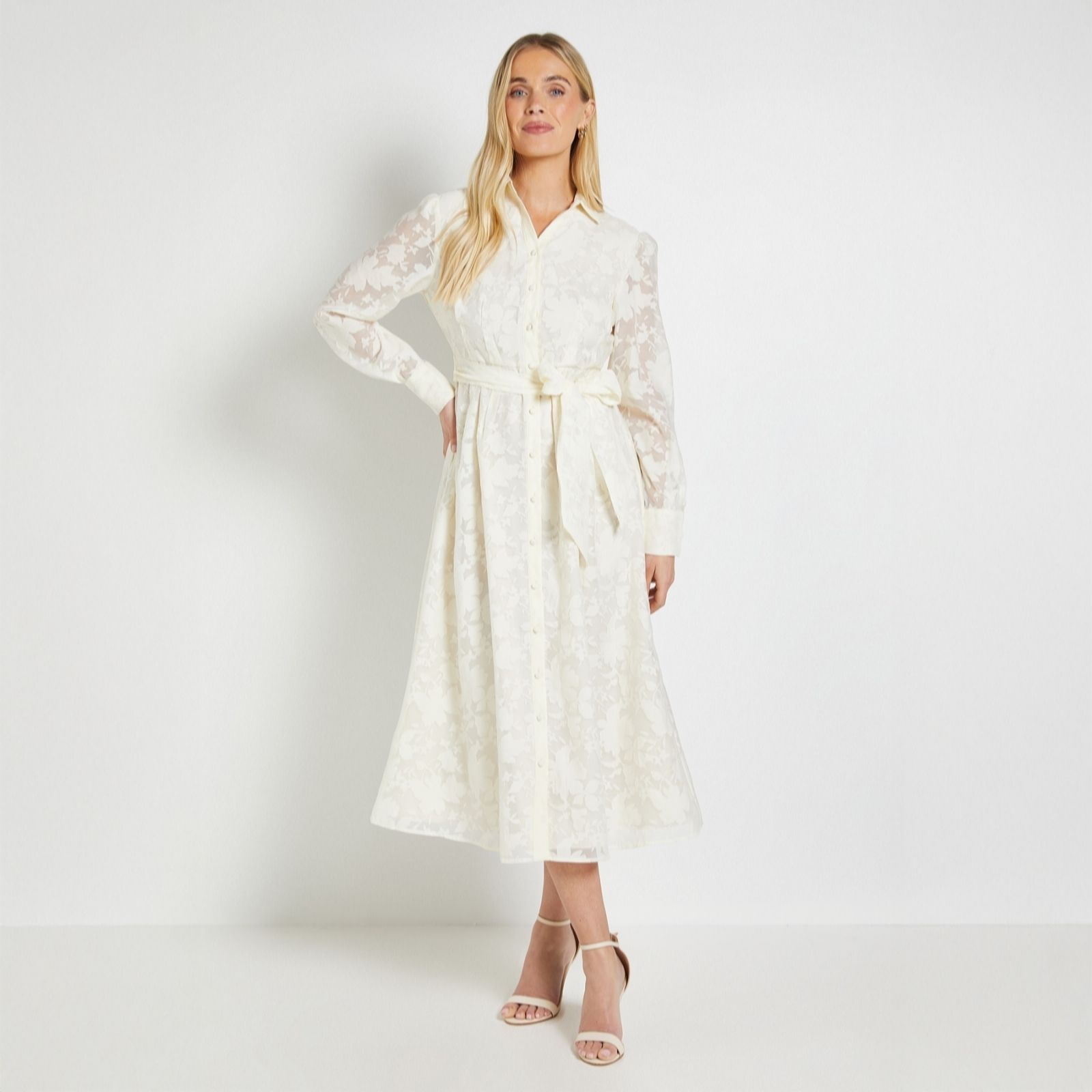 Wallis Burn Out Organza Dress Petite