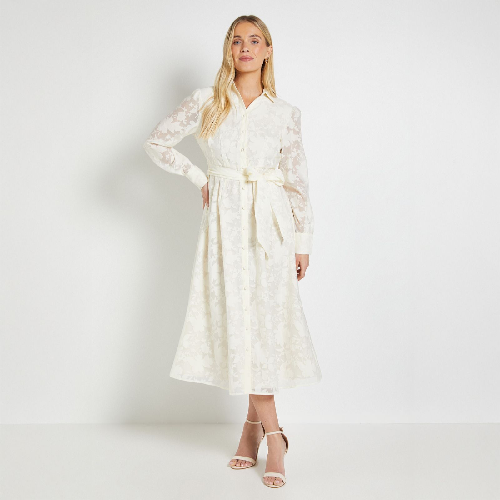 Wallis Burn Out Organza Dress Petite