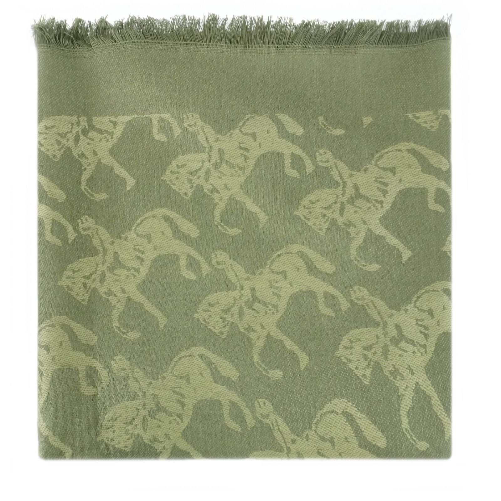 Outlet Paul Costelloe Jacquard Scarf