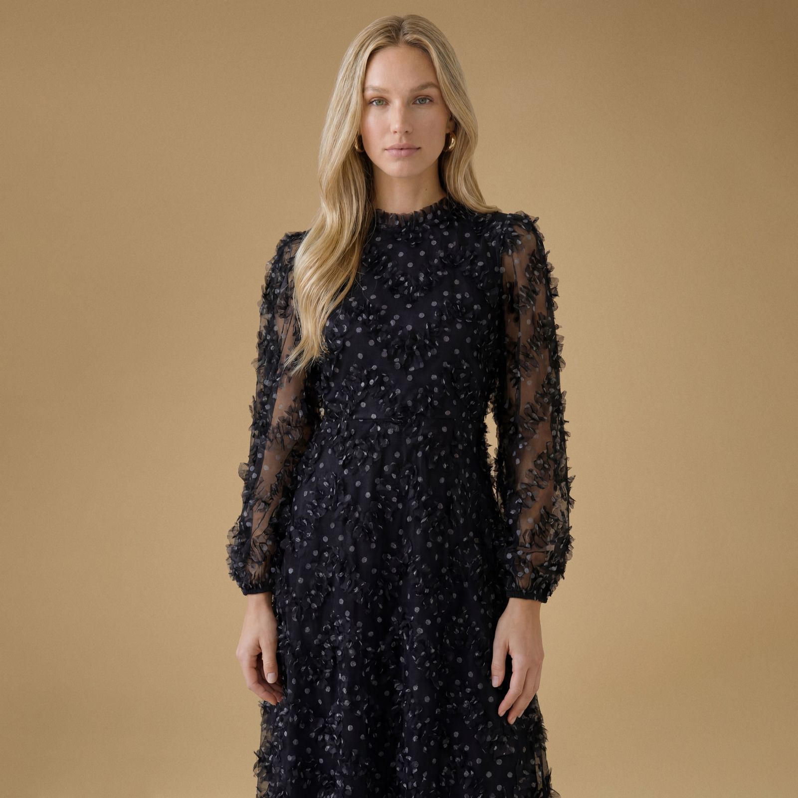 Oasis Long Sleeve Printed Mesh Midi Dress