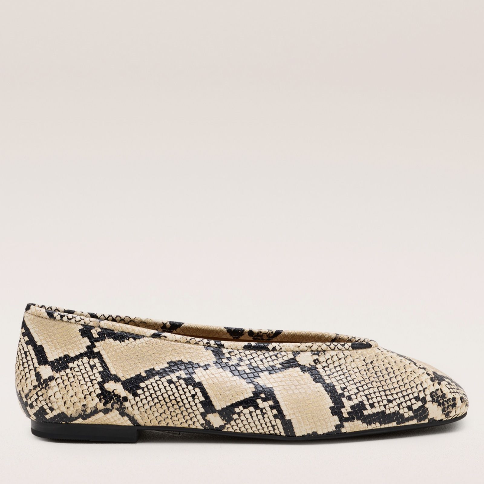Dansi Leather Ballet Flat
