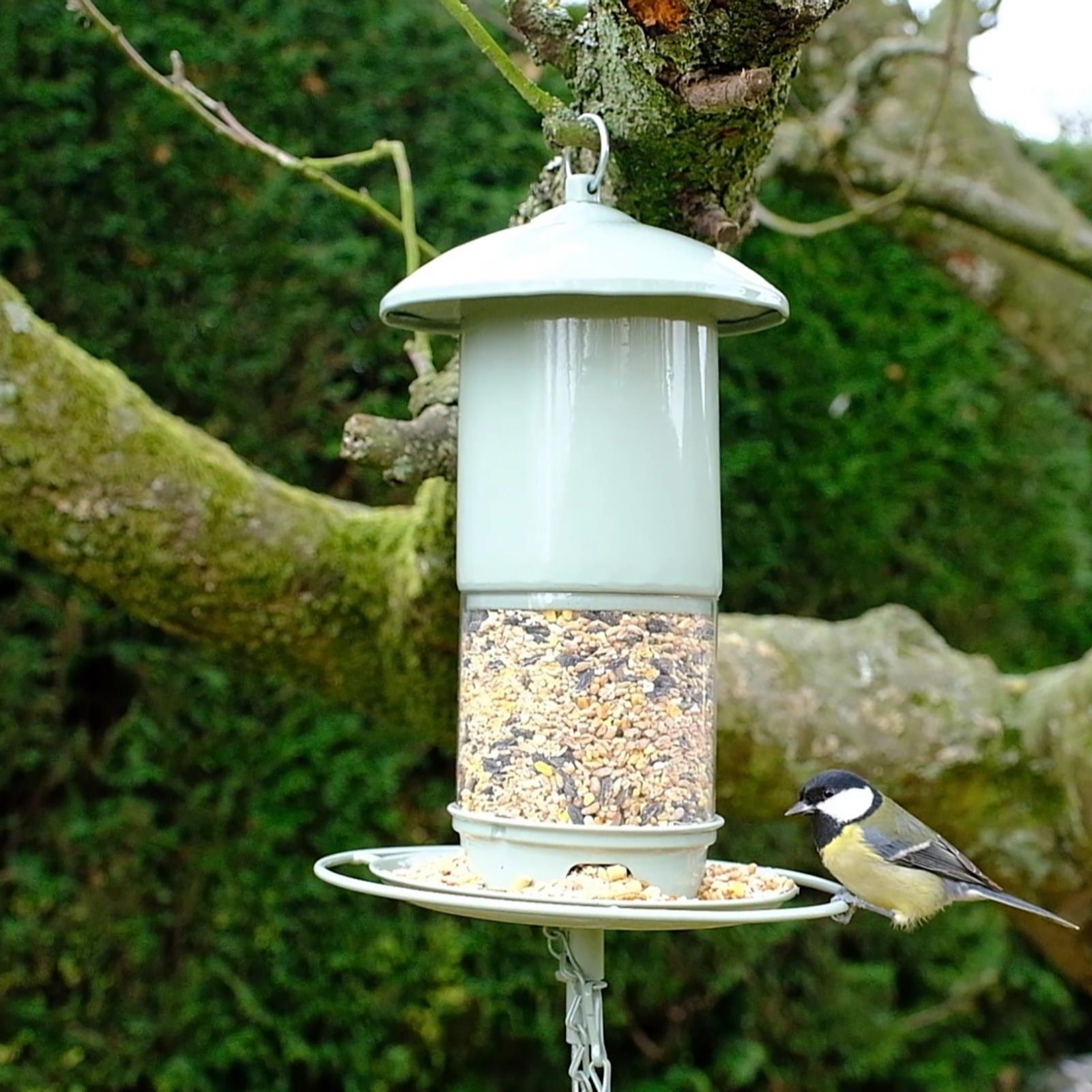 Grumpy Gardener Easy Fill Bird Feeder 35x22cm QVC UK