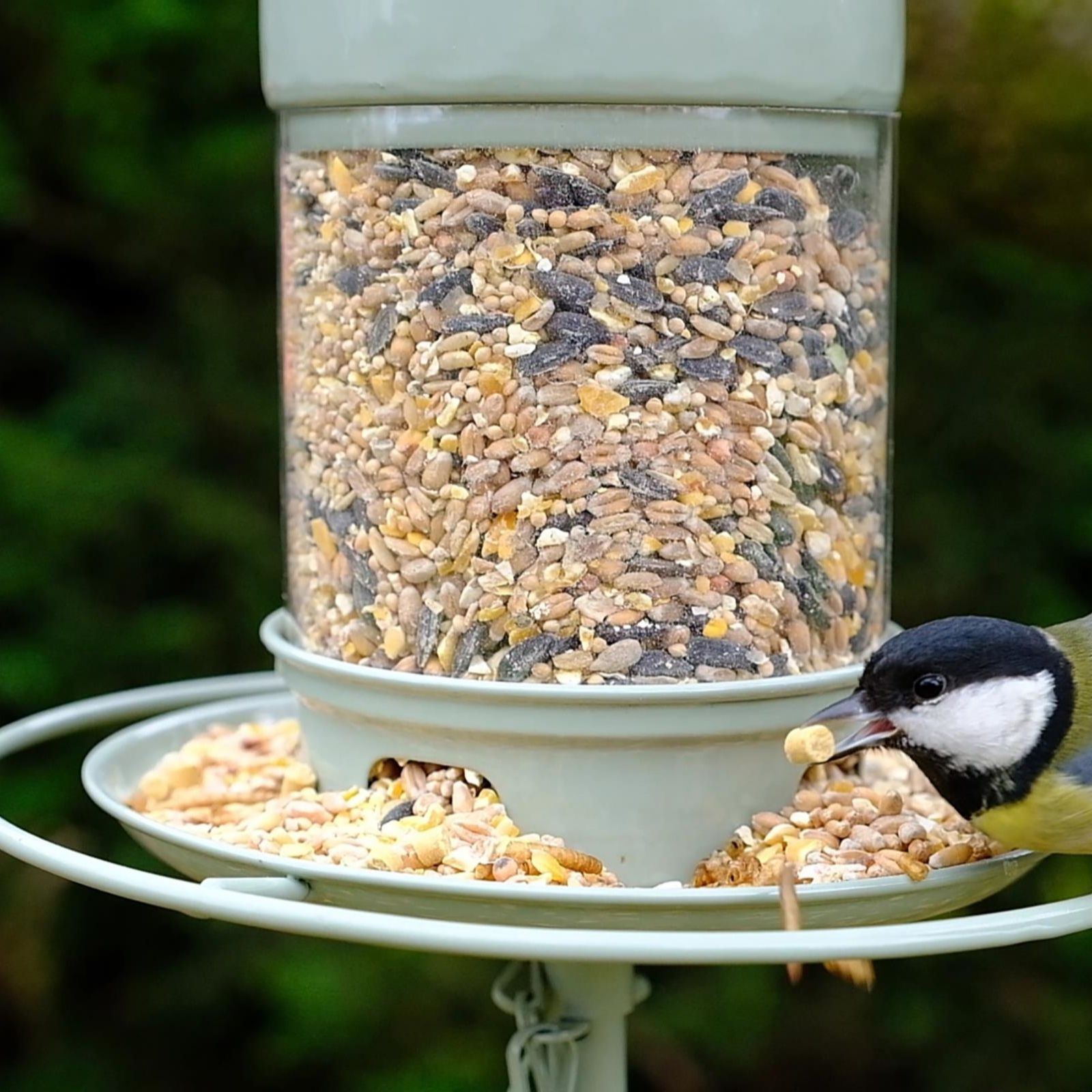 Grumpy Gardener Easy Fill Bird Feeder 35x22cm QVC UK