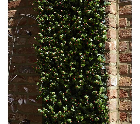 Garden Reflections 8 Panel 2m Sq Faux Berries Greenery Living Wall Qvc Uk - Fake Ivy Wall Home Bargains