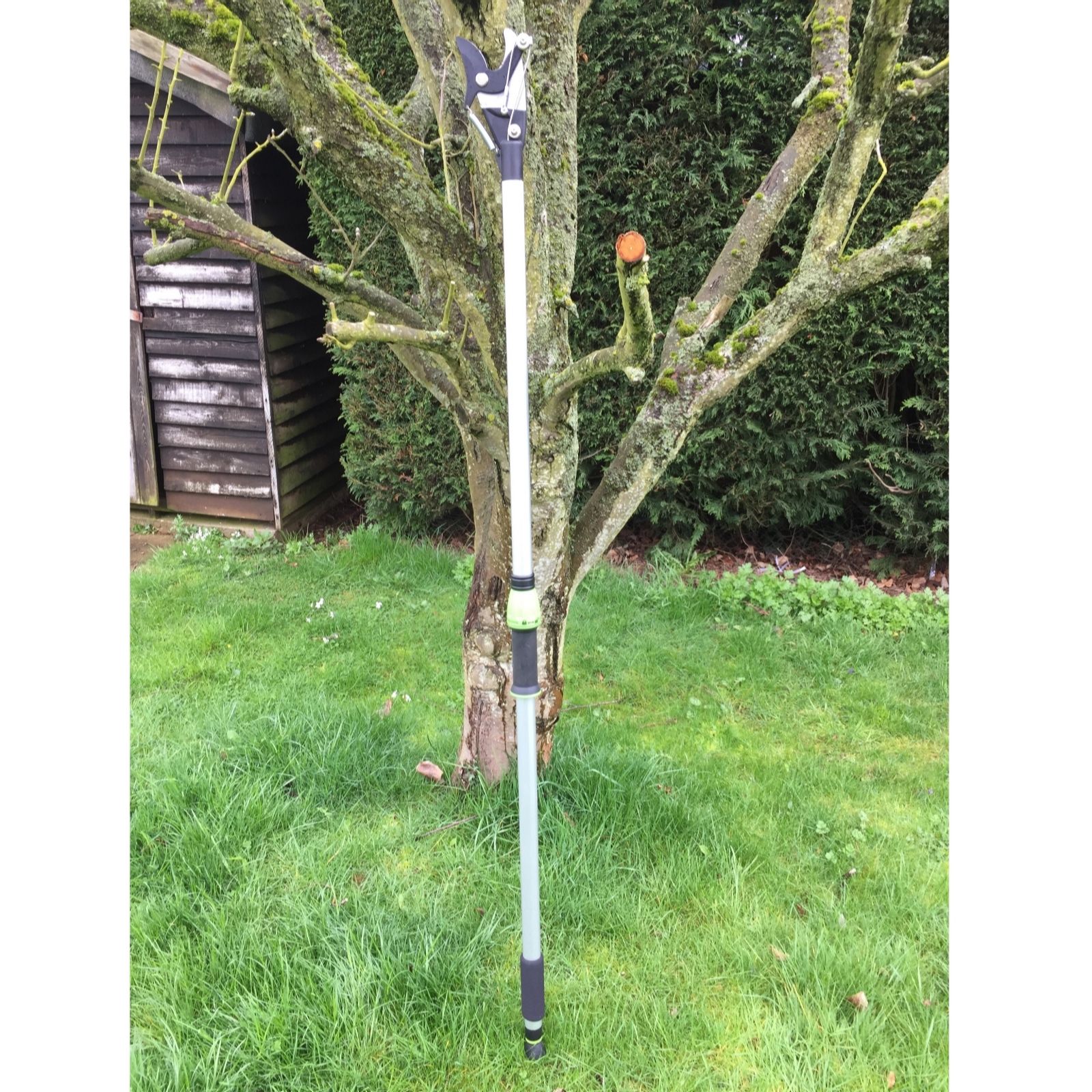 Outlet Grumpy Gardener Lightweight 2 Action Long Reach Pruner QVC UK