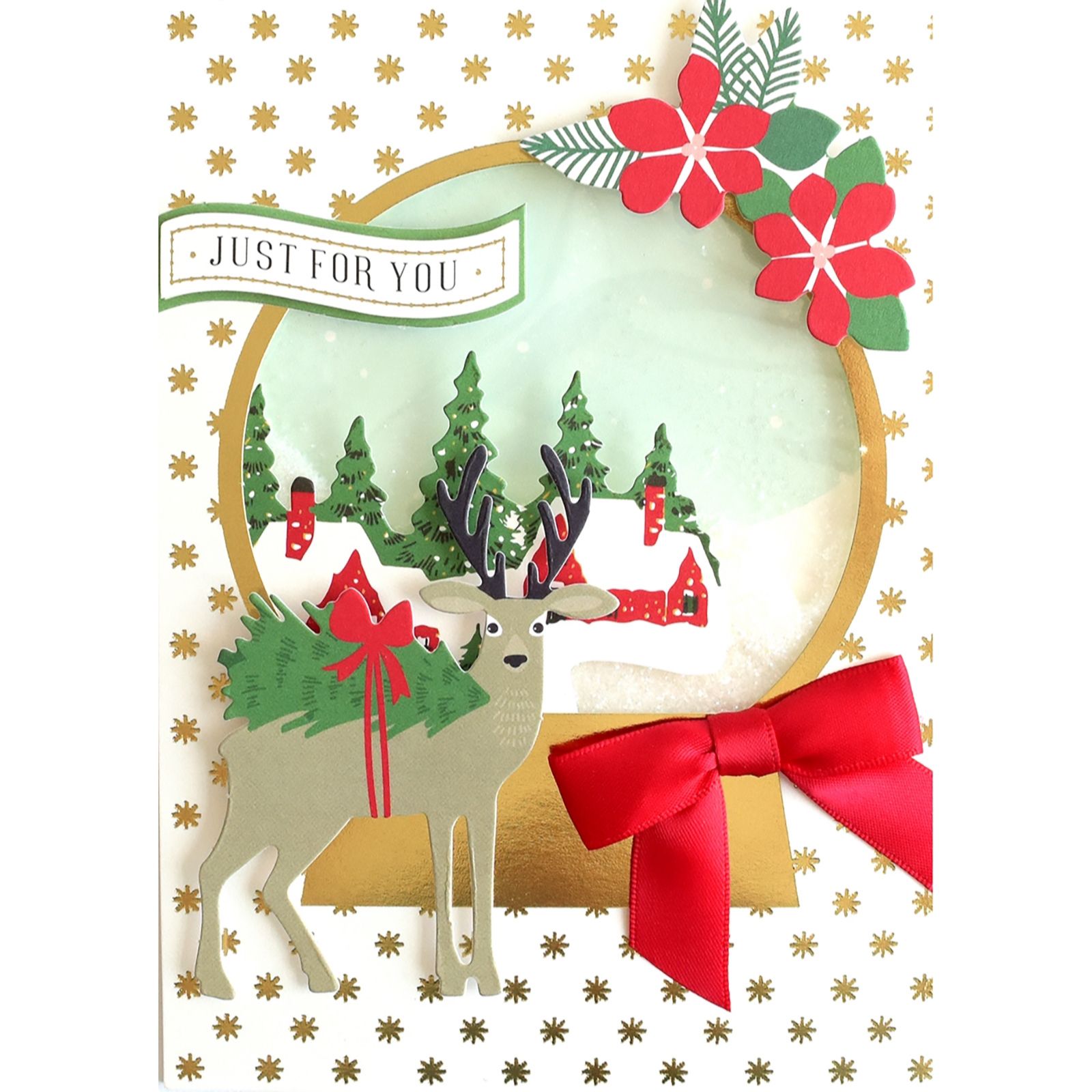 Anna Griffin Snowglobe Christmas Card Kit QVC UK
